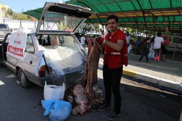 Balıkesirliler Mobil Kesimhaneleri Tercih Etti