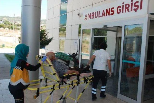 &Ccedil;orum da 34 Acemi Kasap Kendini Yaraladı 1