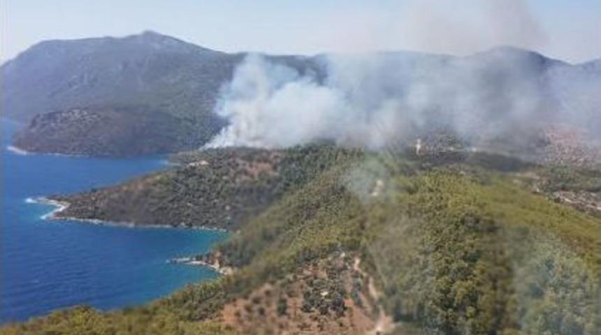 Milas' Ta Orman Yangını