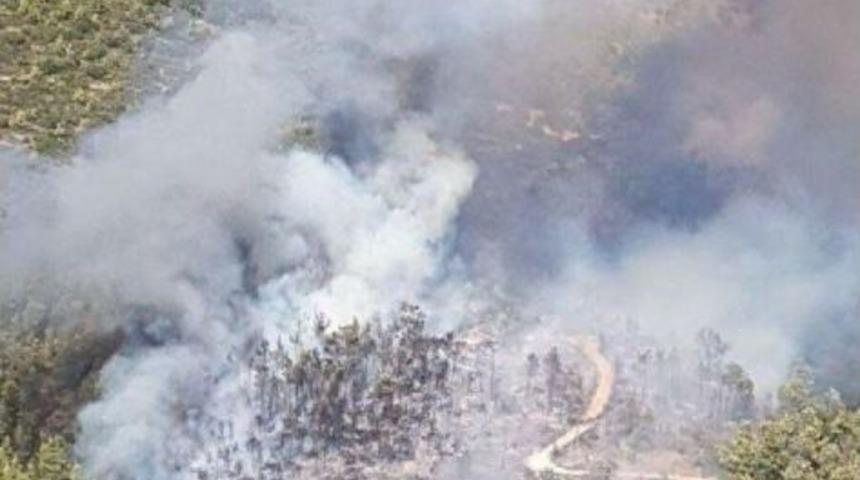 Muğla'da Orman Yangını, 8 Hemtar Alan K&uuml;l Oldu (2) - Yeniden