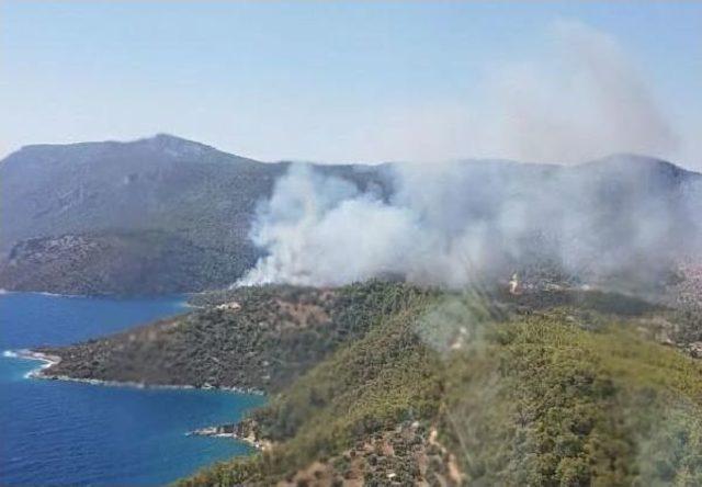 Muğla'da Orman Yangını (1)