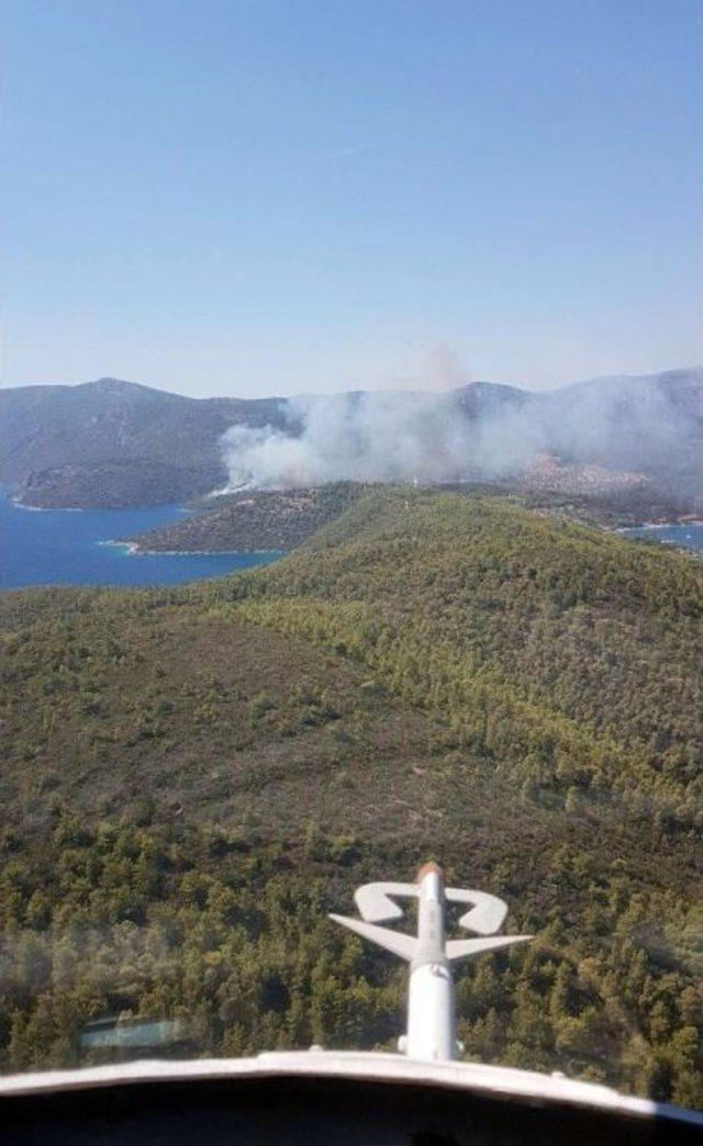 Muğla’da Orman Yangını