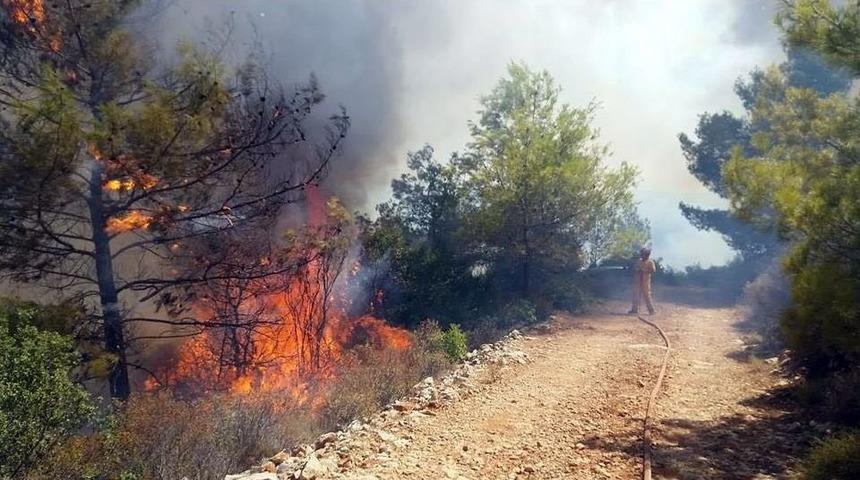 Akb&uuml;k Koyu&rsquo;nda Orman Yangını