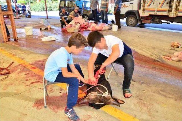 Manisa'dan Kurban Manzaraları