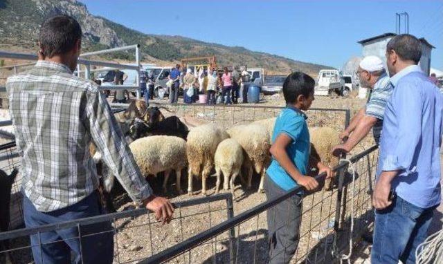 Manisa'dan Kurban Manzaraları