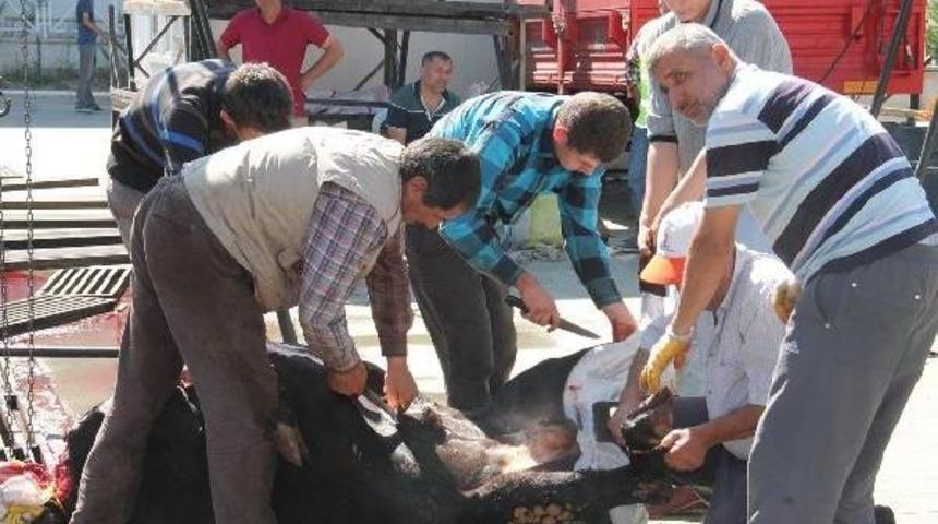 Amasya&rsquo;Da Kurban Bayramı Manzaraları