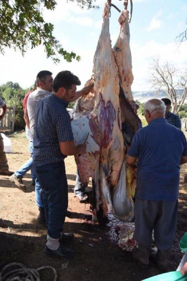 Sinop'ta Kurban Bayramı Manzaraları