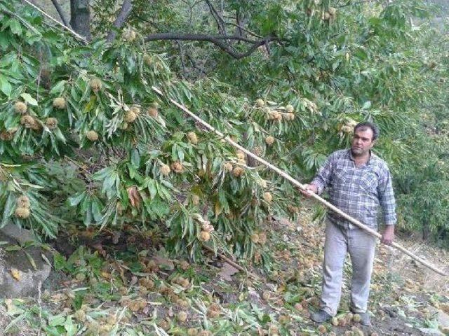 Psikolojik Sorunları Intihara Götürdü 1