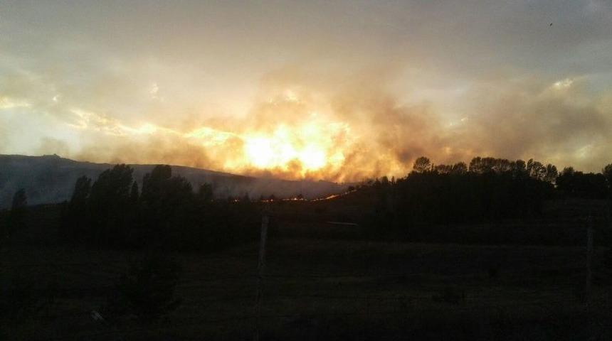 Kars&rsquo;ta Askeri B&ouml;lgede Orman Yangını