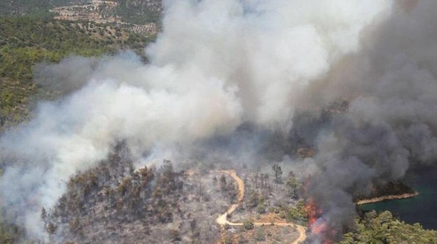 Milas&rsquo;ta Orman Yangını