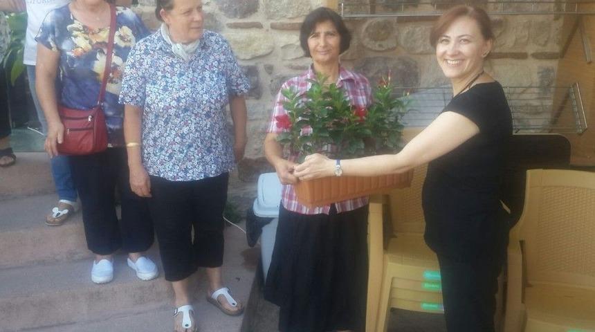 Ak&ccedil;akoca Mahallesi &Ccedil;i&ccedil;ek A&ccedil;acak