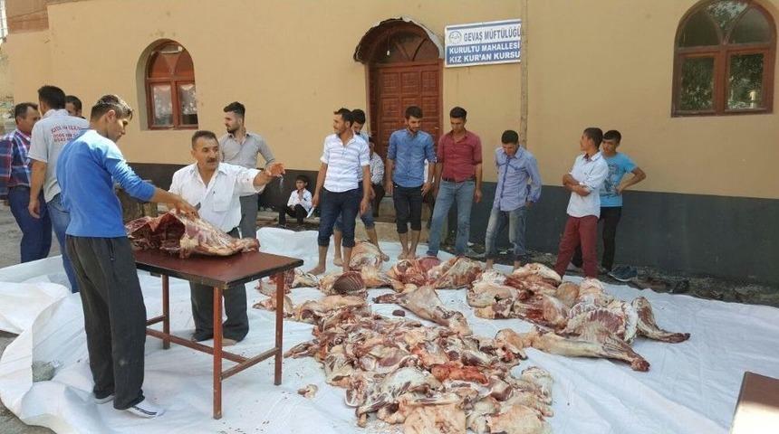 Bu K&ouml;yde Kurbanlar Bir Yerde Toplanıp &Ouml;yle Dağıtılır