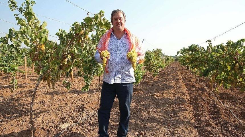 Buca&rsquo;da Bağ Bozumu Şenliği 10 Eyl&uuml;l&rsquo;de