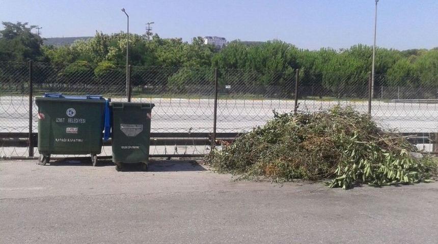 İzmit’te Budanan Ağaç Dalları Toplanıyor