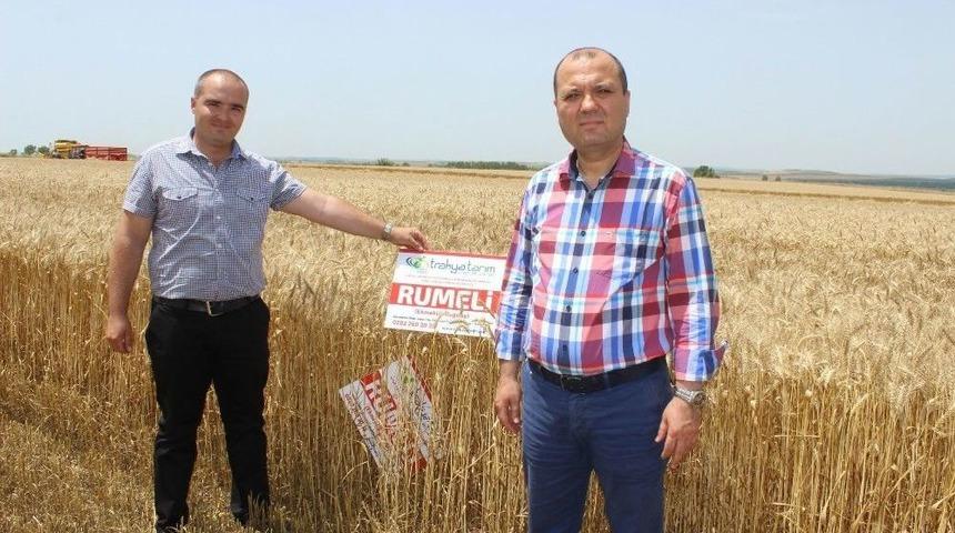 Milli Tohum &lsquo;rumeli&rsquo;ye Talep Bu Yıl Da Y&uuml;ksek