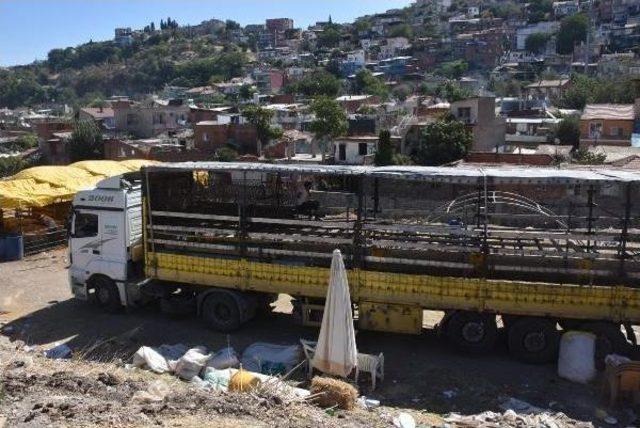 Kurban Pazarları Ve Kesim Yerlerinde Temizlik Başladı