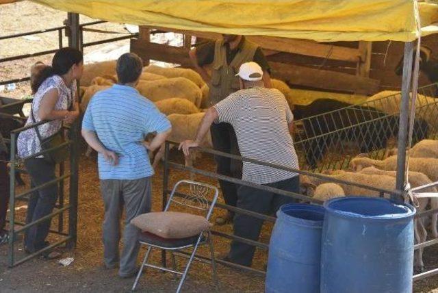 Kurban Pazarları Ve Kesim Yerlerinde Temizlik Başladı