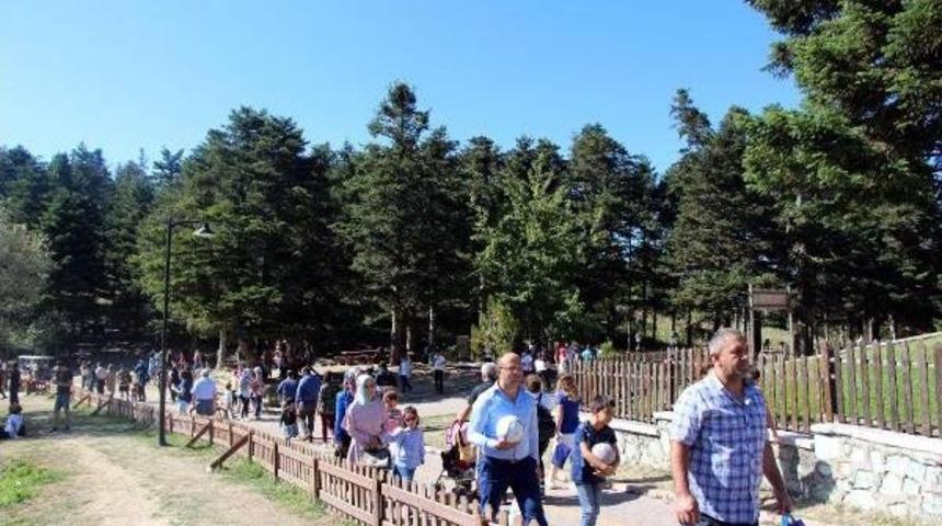 Bayramda G&ouml;lc&uuml;k'te Piknik Keyfi
