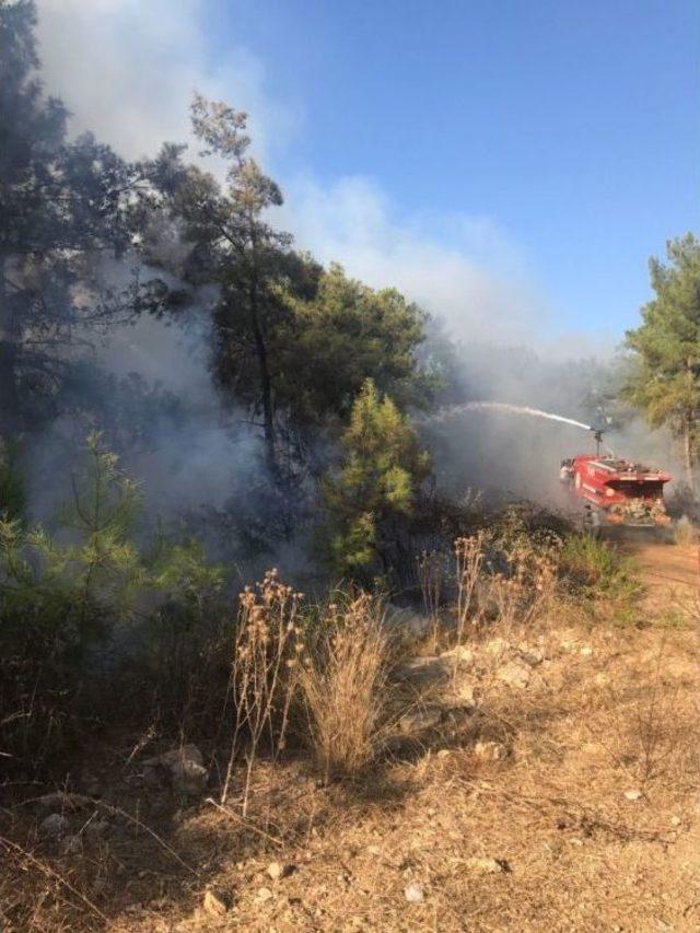 Antalya’da Çıkan Orman Yangını Büyümeden Söndürüldü