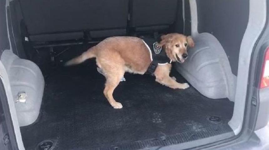 İzmir'de Uyuşturucu Operasyonu