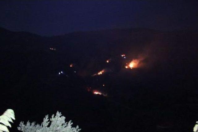 &Ouml;demiş te Orman Yangını (2) 2