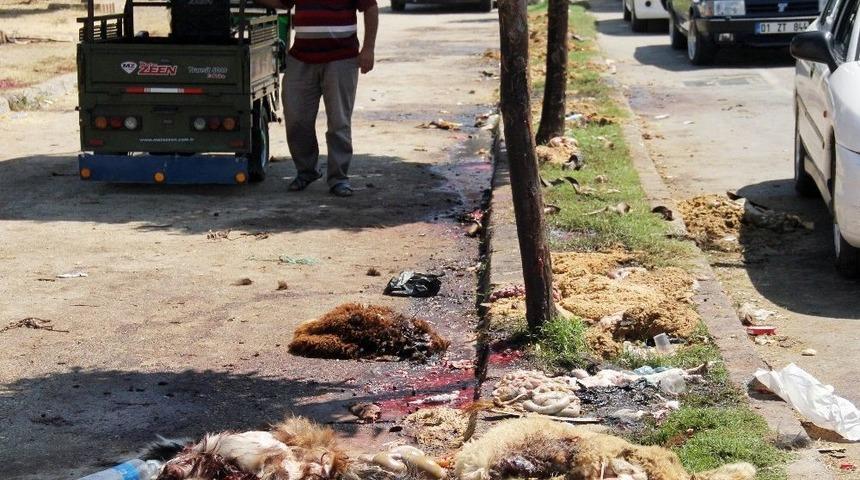 Ref&uuml;jde Kurbanı Kesip Atıklarını Bıraktılar