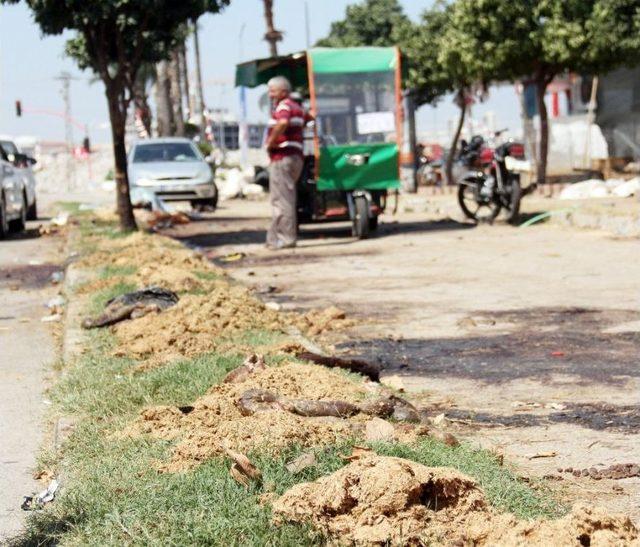 Refüjde Kurbanı Kesip Atıklarını Bıraktılar