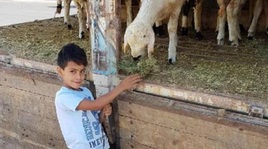 Kurban Kesim Alanları Kire&ccedil;lendi