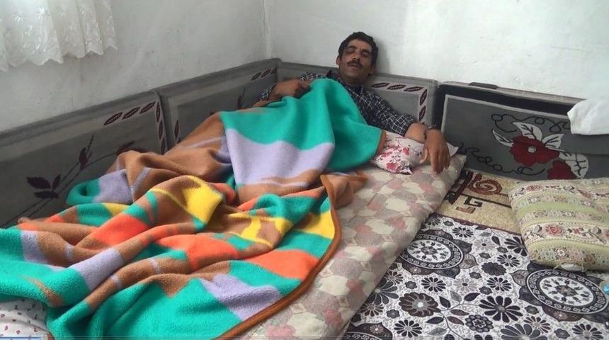 İneğin Saldırısına Uğrayan Vatandaş G&ouml;z&uuml;nden Oluyordu