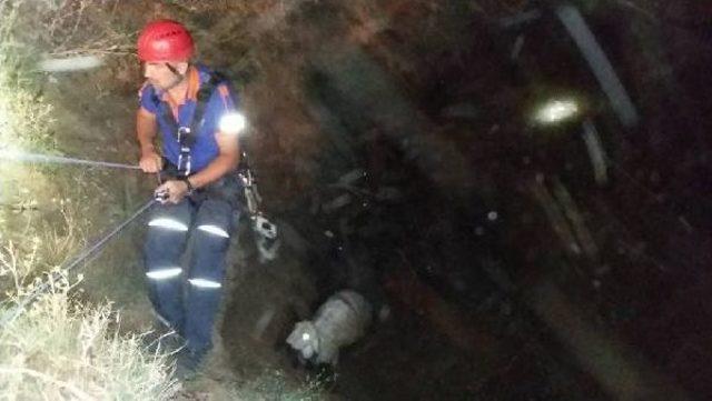 Havuza Düşen Koyunu Kurtarmak Isterken Kendi Boğuldu 1