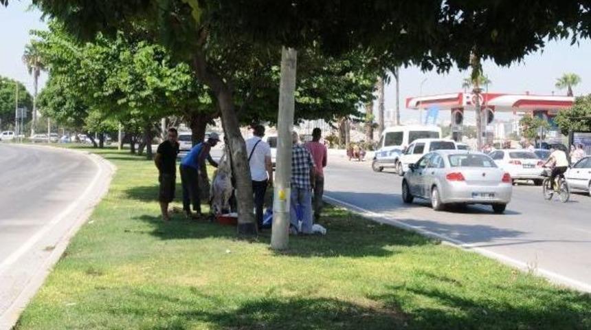 Ref&uuml;jde Kurban Kestiler