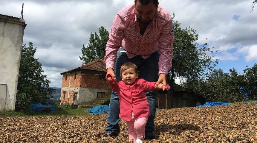 &Uuml;retici Fındıkla Yatıyor, Fındıkla Kalkıyor