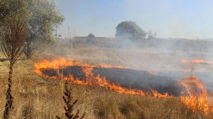 Anız Yangını B&uuml;y&uuml;meden S&ouml;nd&uuml;r&uuml;ld&uuml;