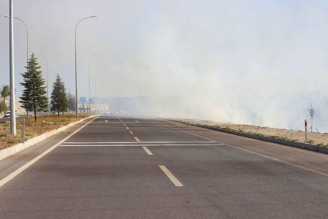 Anız Yangını B&uuml;y&uuml;meden S&ouml;nd&uuml;r&uuml;ld&uuml; 2