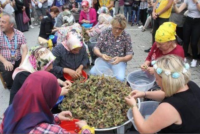 Arhavi'de Bayram Ve Festival Coşkusu