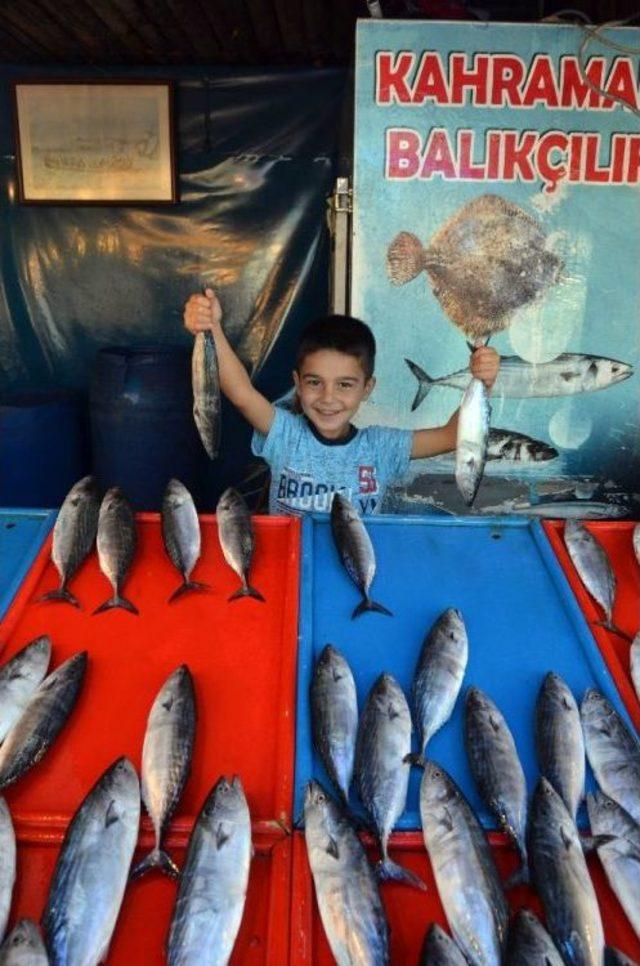 Balık Sezonu Açıldı Tezgahlar Şenlendi