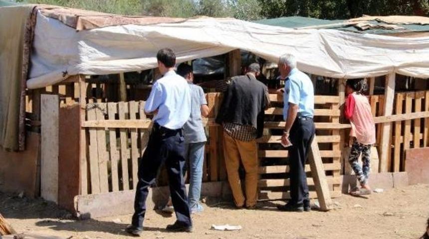 40 Koyunu Telef Oldu