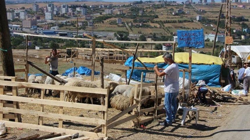 Kurban Pazarlarında Son G&uuml;n Telaşı