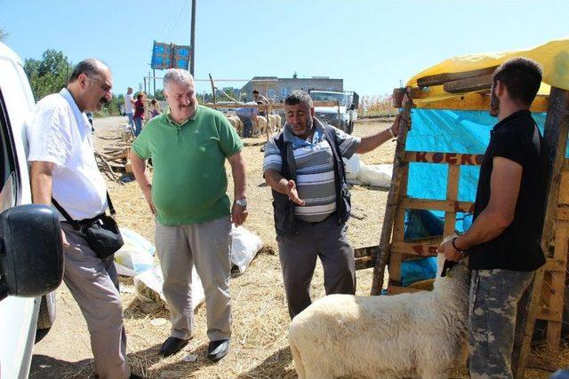 Kurban Pazarlarında Son Gün Telaşı