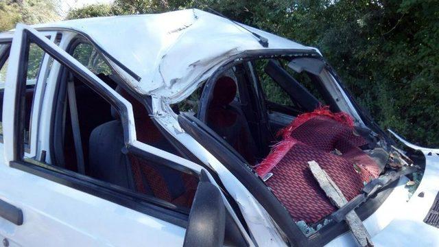 Sinop’ta Otomobilin Üzerine Ağaç Düştü: 1 Ölü, 2 Yaralı