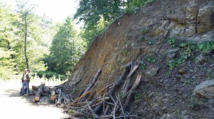 K&uuml;t&uuml;kle Birlikte Yama&ccedil;tan Yuvarlanan Iki Kardeşten Biri &Ouml;ld&uuml;