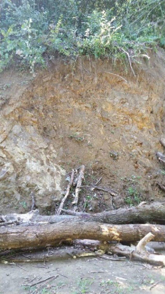 Kütükle Birlikte Yamaçtan Yuvarlanan Iki Kardeşten Biri Öldü 1