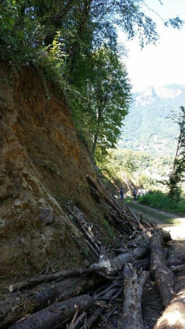 Kütükle Birlikte Yamaçtan Yuvarlanan Iki Kardeşten Biri Öldü 2