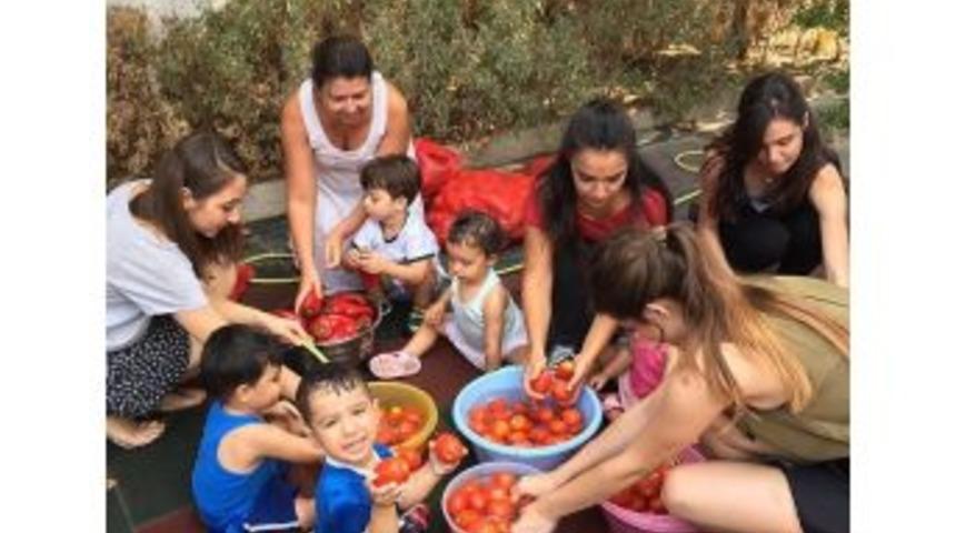 Ekmeğini, Salçalarını Kendileri Yapıyor