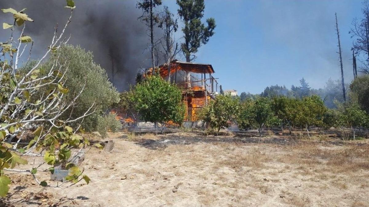 Antalya&rsquo;da Meyve Bah&ccedil;esinde Yangın