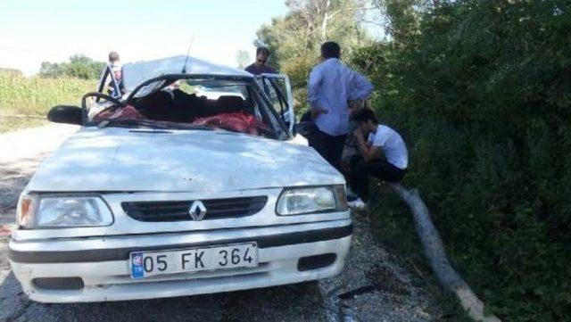 Seyir Halindeki Otomobilin Üstüne Ağaç Düştü: 1 Ölü, 2 Yaralı