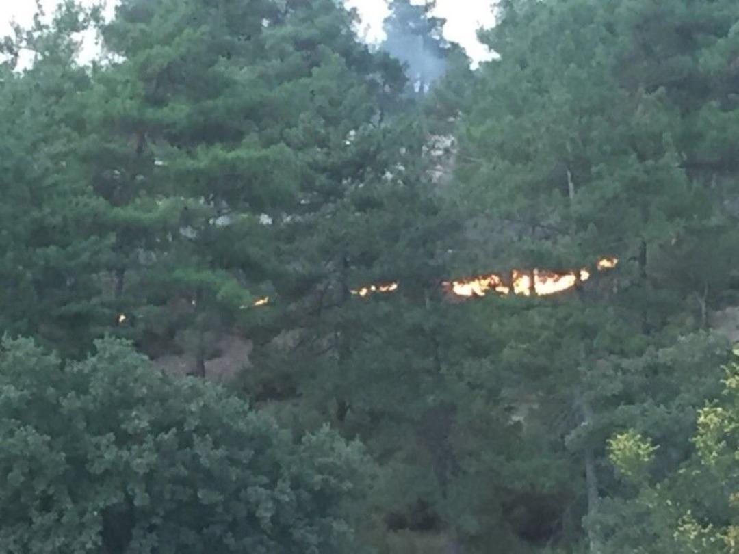 Bolu&rsquo;da Orman Yangını