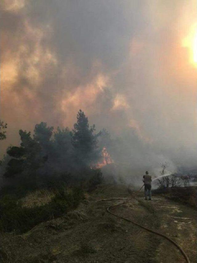 Bolu'da Orman Yangını