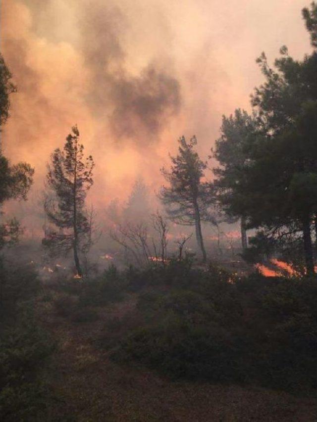 Bolu'da Orman Yangını