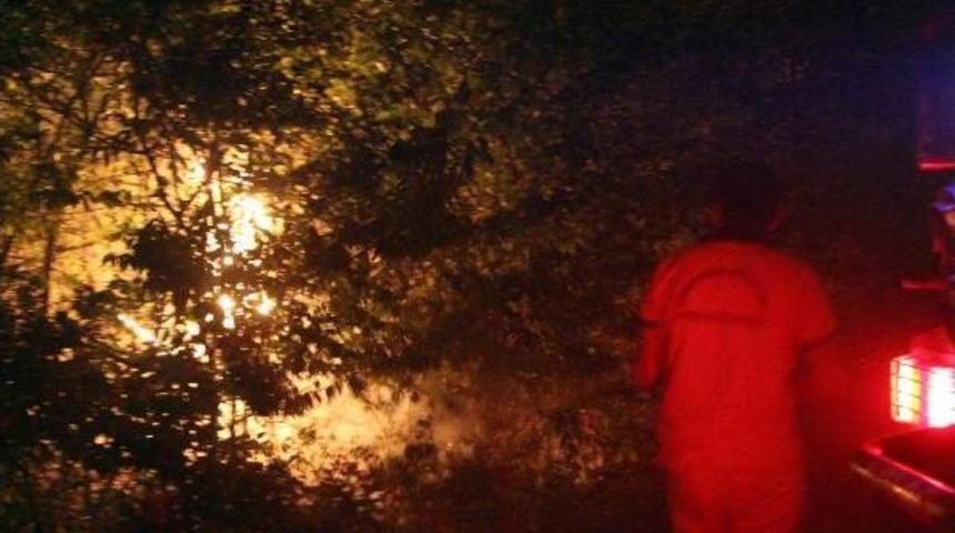 Bolu'da Orman Yangını(2)